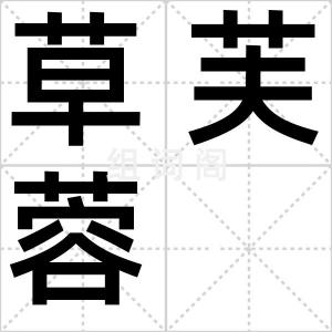 草芙蓉