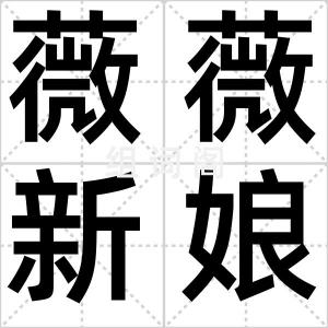 薇薇新娘