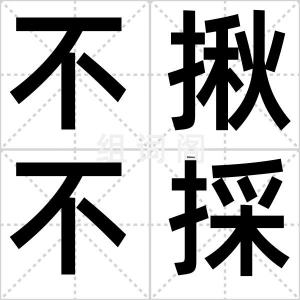 不揪不採