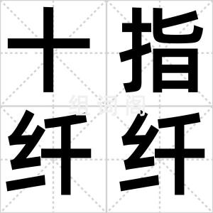 十指纤纤