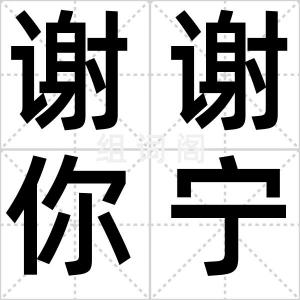 谢谢你宁人