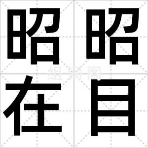 昭昭在目