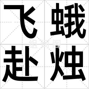 飞蛾赴烛