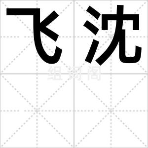 飞沈
