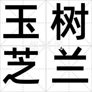 玉树芝兰