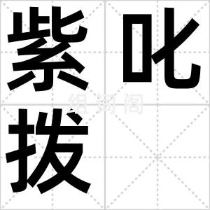 紫叱拨