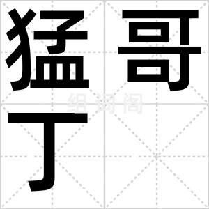猛哥丁