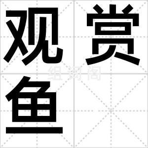 观赏鱼