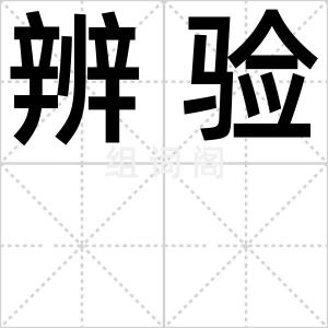 辨验