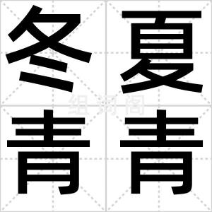 冬夏青青