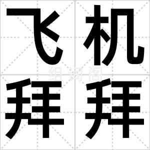 飞机拜拜员