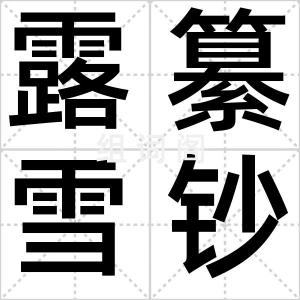 露纂雪钞