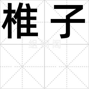 椎子