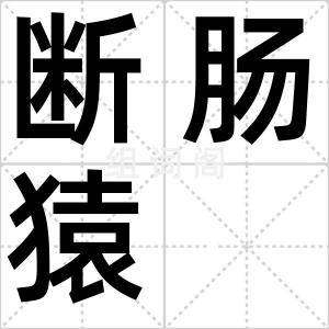 断肠猿