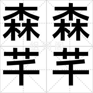 森森芊芊