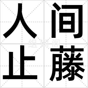 人间止藤片