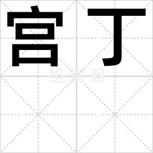 宫丁