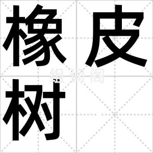 橡皮树