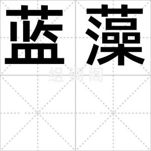蓝藻