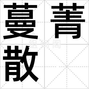 蔓菁散