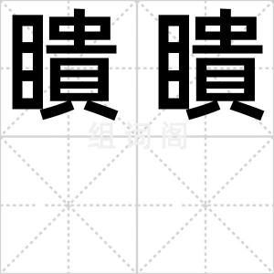 瞶瞶