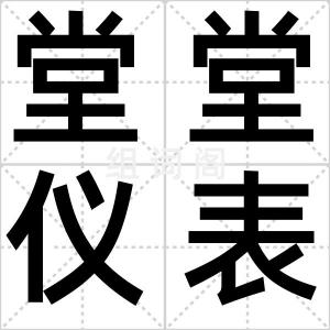 堂堂仪表