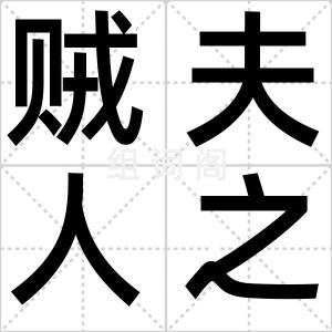 贼夫人之子