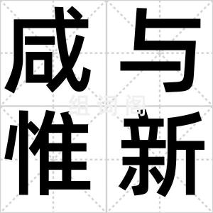 咸与惟新