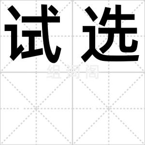 试选