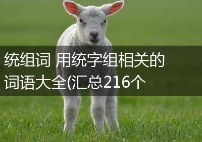 统组词 用统字组相关的词语大全(汇总216个)