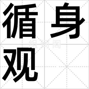 循身观