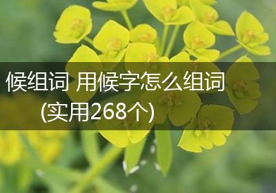 候组词 用候字怎么组词(实用268个)
