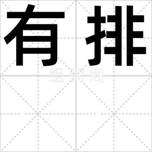 有排