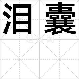 泪囊