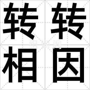 转转相因