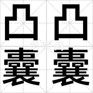 凸凸囊囊