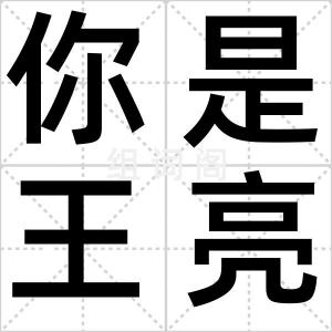 你是王亮吗