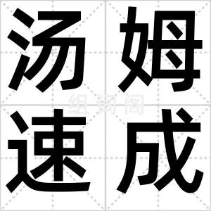 汤姆速成班