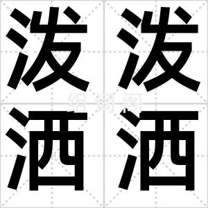 泼泼洒洒