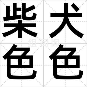 柴犬色色卡