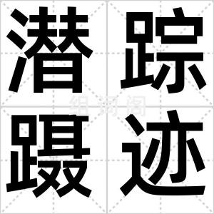 潜踪蹑迹