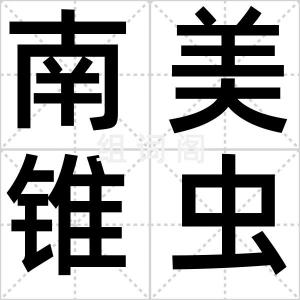 南美锥虫病