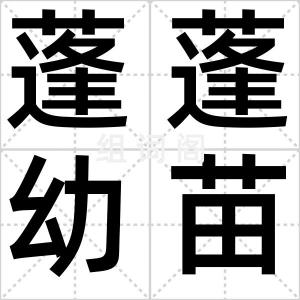 蓬蓬幼苗