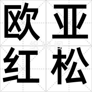 欧亚红松鼠