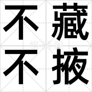 不藏不掖
