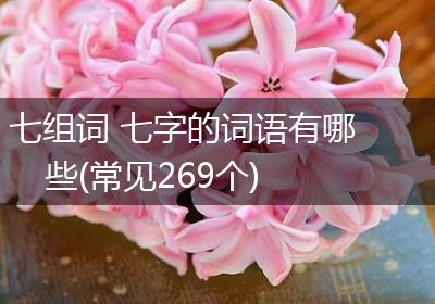 七组词 七字的词语有哪些(常见269个)