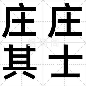 庄庄其士