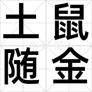土鼠随金虎
