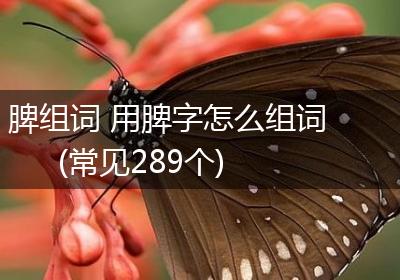 脾组词 用脾字怎么组词(常见289个)