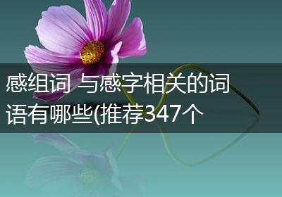 感组词 与感字相关的词语有哪些(推荐347个)